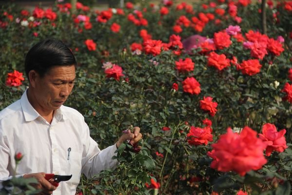 说明: http://www.sdpt.com.cn/images/12/08/30/w9r0wuqcuo/20101203-095527.jpg